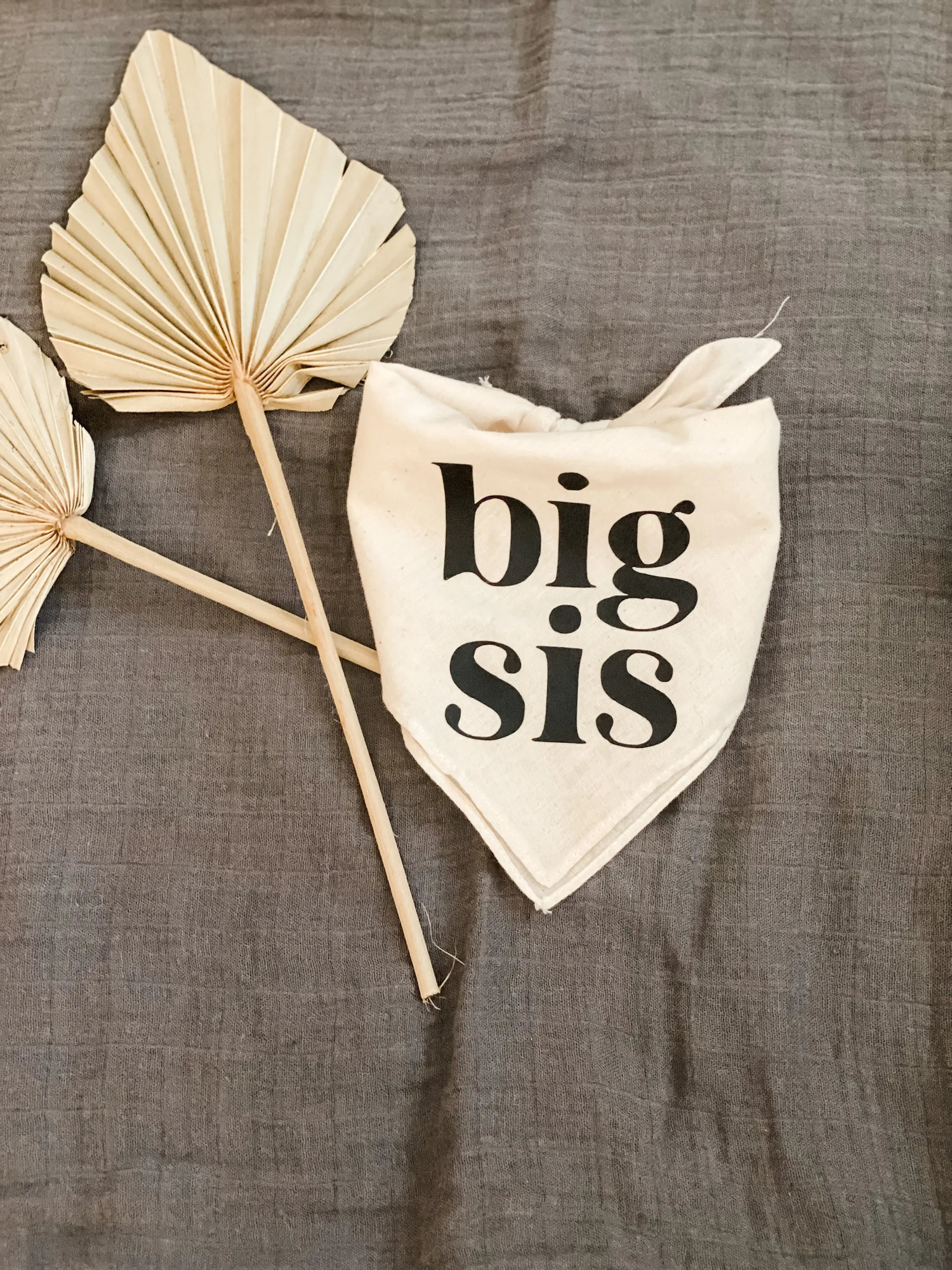 Big Sis Or Bro Dog Bandana Scarf For Baby Announcement Birth Maternity Poshoot Natural Party Decoration 250729