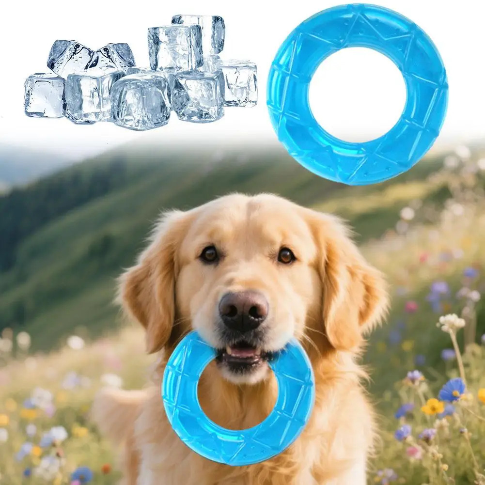 Pet Cooling Chew Toy Summer Ice Cube Freezable Dog Teething for Puppies Training Play Fillable Puppy Rings 250729
