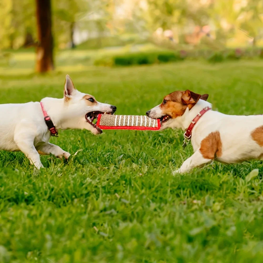 1pc Durable Jute Dog Chew Toy BiteResistant Teething Stick for Puppies Adult Dogs Natural Pet Dental Health Care Toys 250729
