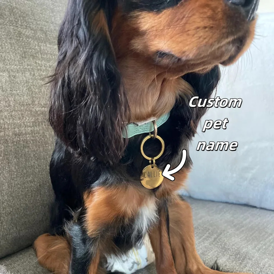 Personalized Custom Stainless Steel Metal Round Dog Tag Kitten Puppy Pet Identity Card Can Be Engraved To Prevent Loss Fashion 250729