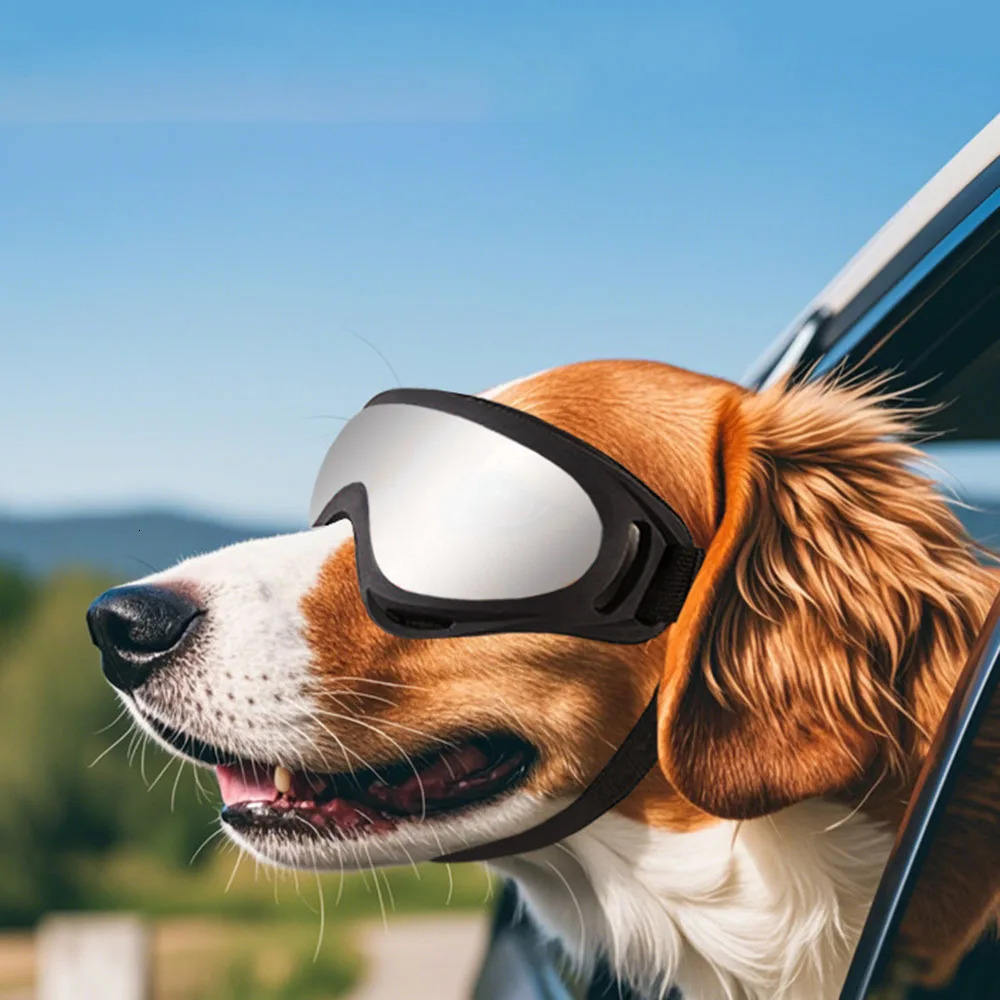 Dog Glasses Adjustable Outdoor Pet Goggles for Small Large Dogs AntiUV Windproof Sunglasses Eyewear Eye Protection 250729