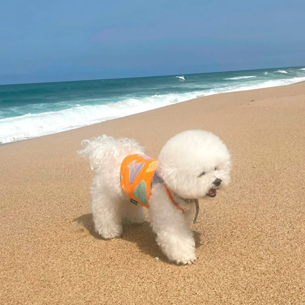 Beach Summer Puppy Vest for Small Dog Clothes Fresh Cute Shell Pattern Soft Cat Breathable Clothes 250729
