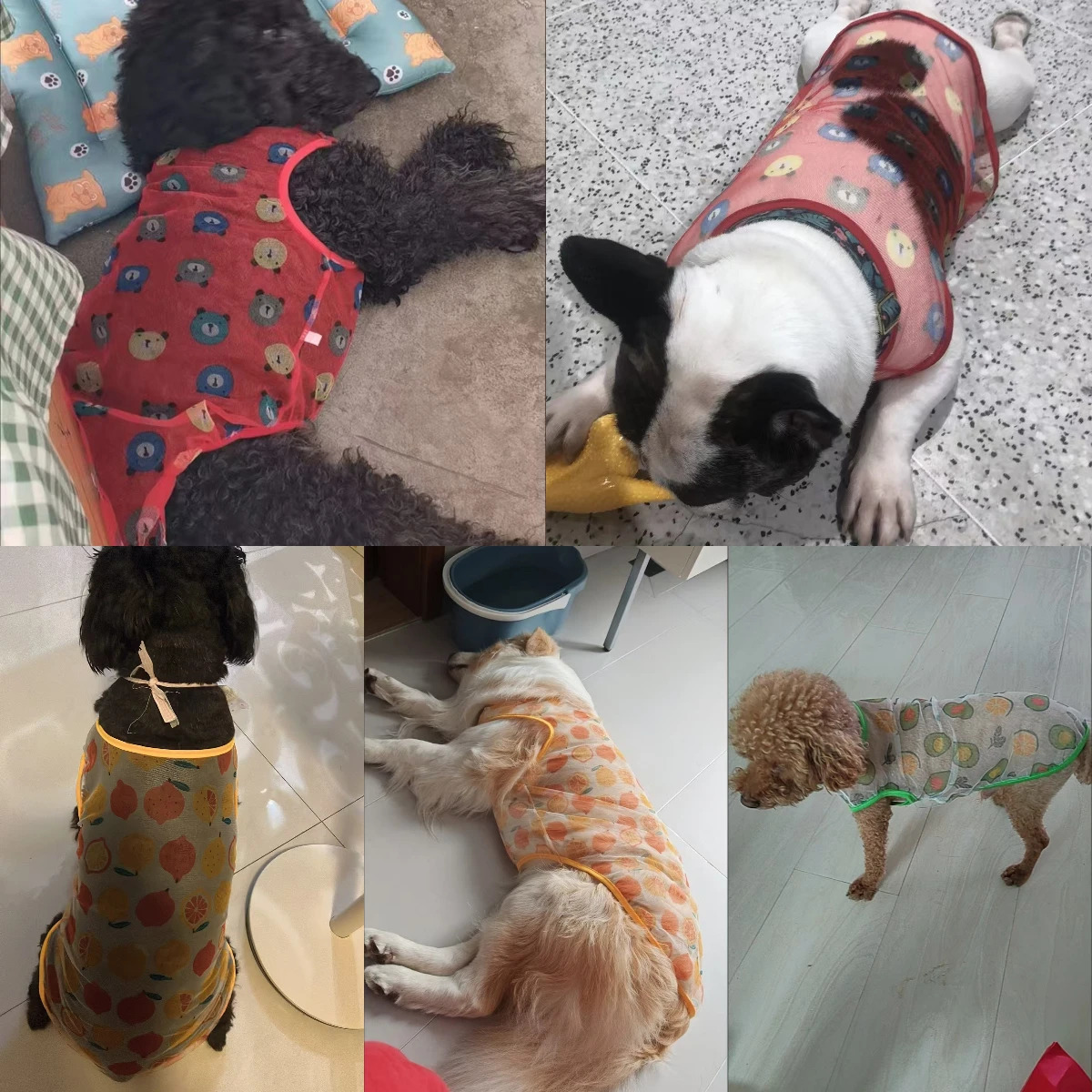 Summer Pet Dog Mesh Vest Cooling Thin Clothes for Small Medium Large Dogs Puppy Cat Chihuahua Supplies 250729