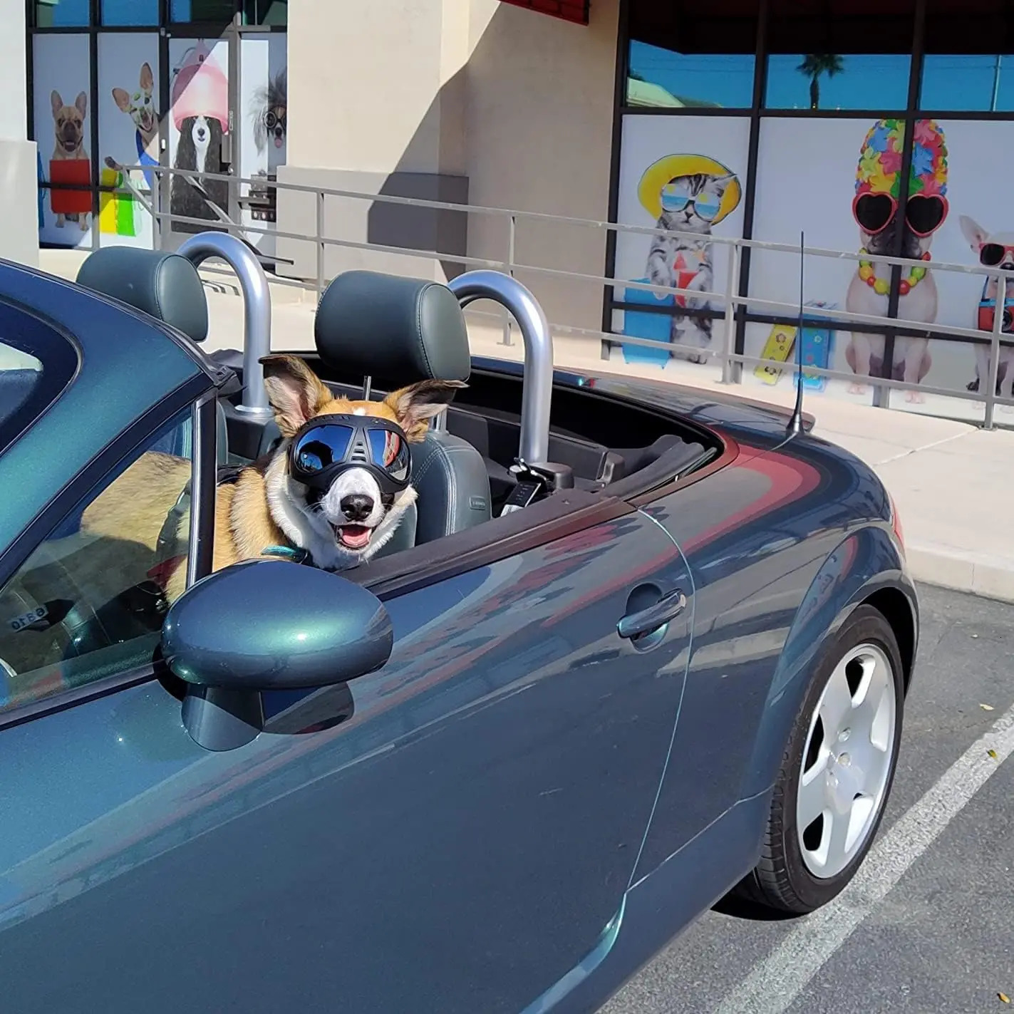 Dog Goggles Large Breed AntiUV Transparent Sunglasses for MediumLarge Windproof AntiDust AntiFog Soft Pet Glasses 250729