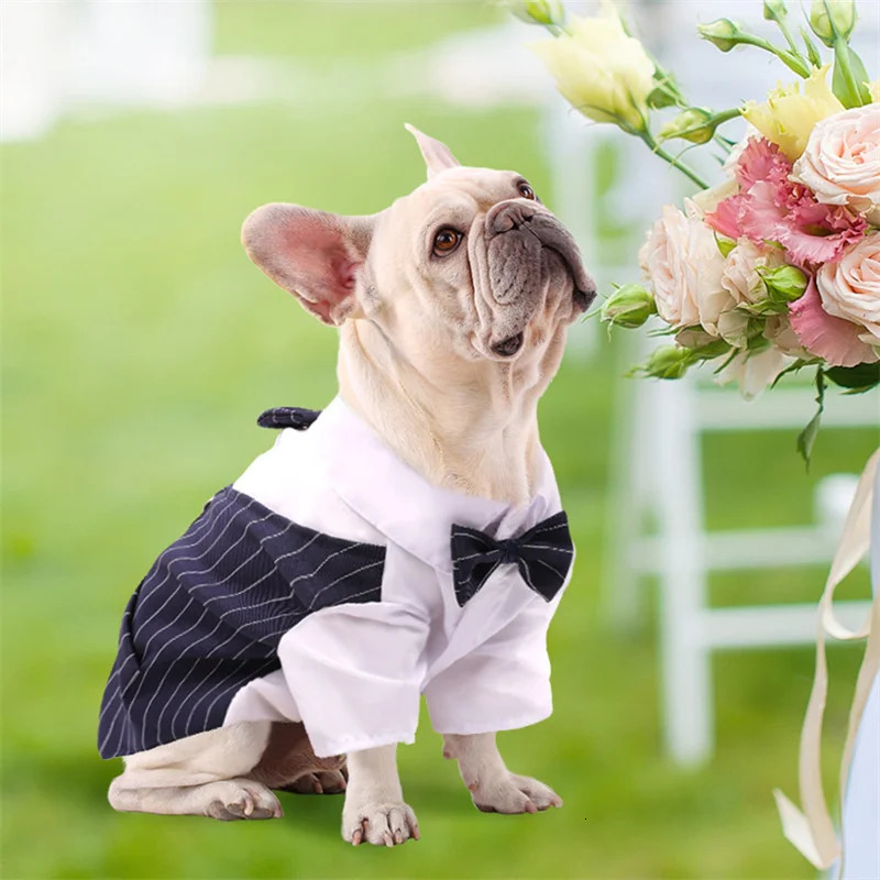 Pet Clothes Dog Shirt Tuxedo Bow Tie for Boy Wedding Party Bulldog Pug Puppy Costume Teddy Summer Thin Outfits 250729