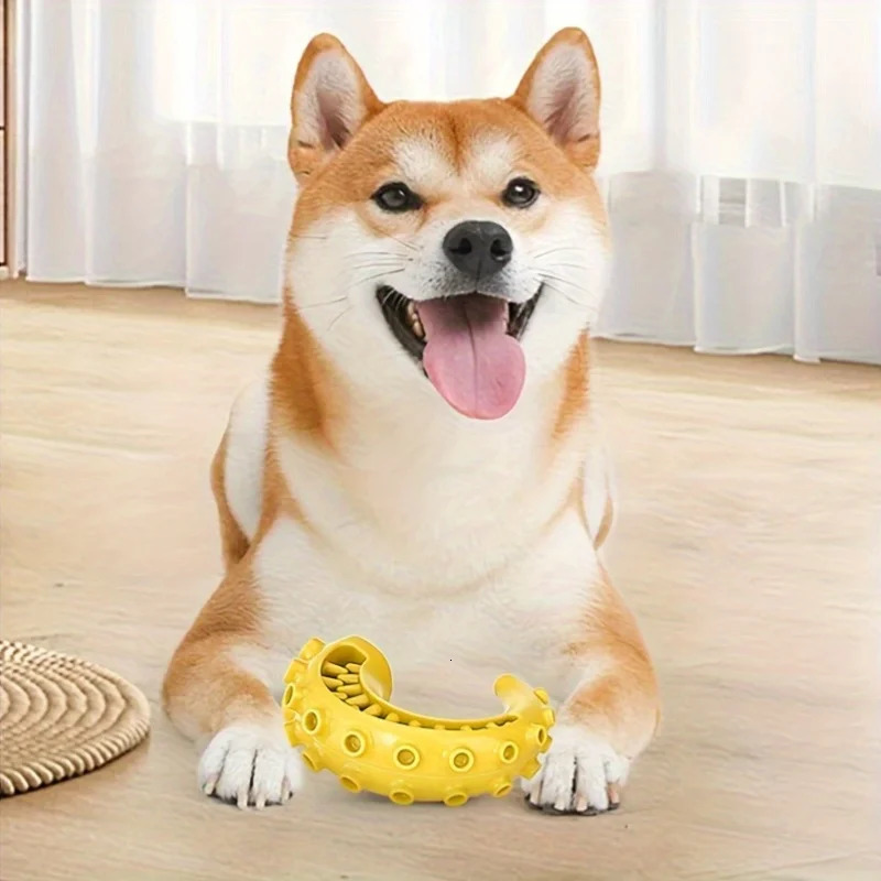 TPR Pet Dog Toys for Small Medium Dogs Biteresistant Chew Teeth Cleaning Supplies 250729