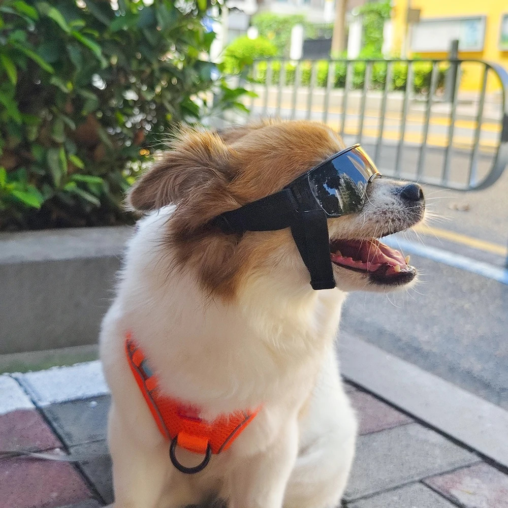 Pet Eye Wear Dog Goggles Small Breed Sunglasses UV Protection Eyewear For Dogs Puppy Outdoor Riding Accessories 250729
