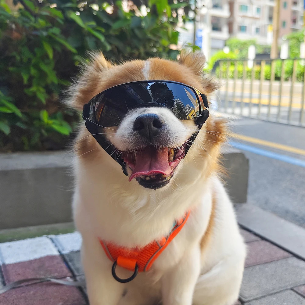Pet Eye Wear Dog Goggles Small Breed Sunglasses UV Protection Eyewear For Dogs Puppy Outdoor Riding Accessories 250729