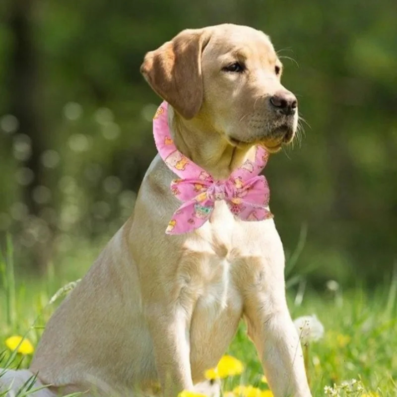 Pet Cooling Scarf Ice Collar for Cats and Dogs Summer Heat Relief Outdoor Travel Accessory with Breathable Cartoon n 250729
