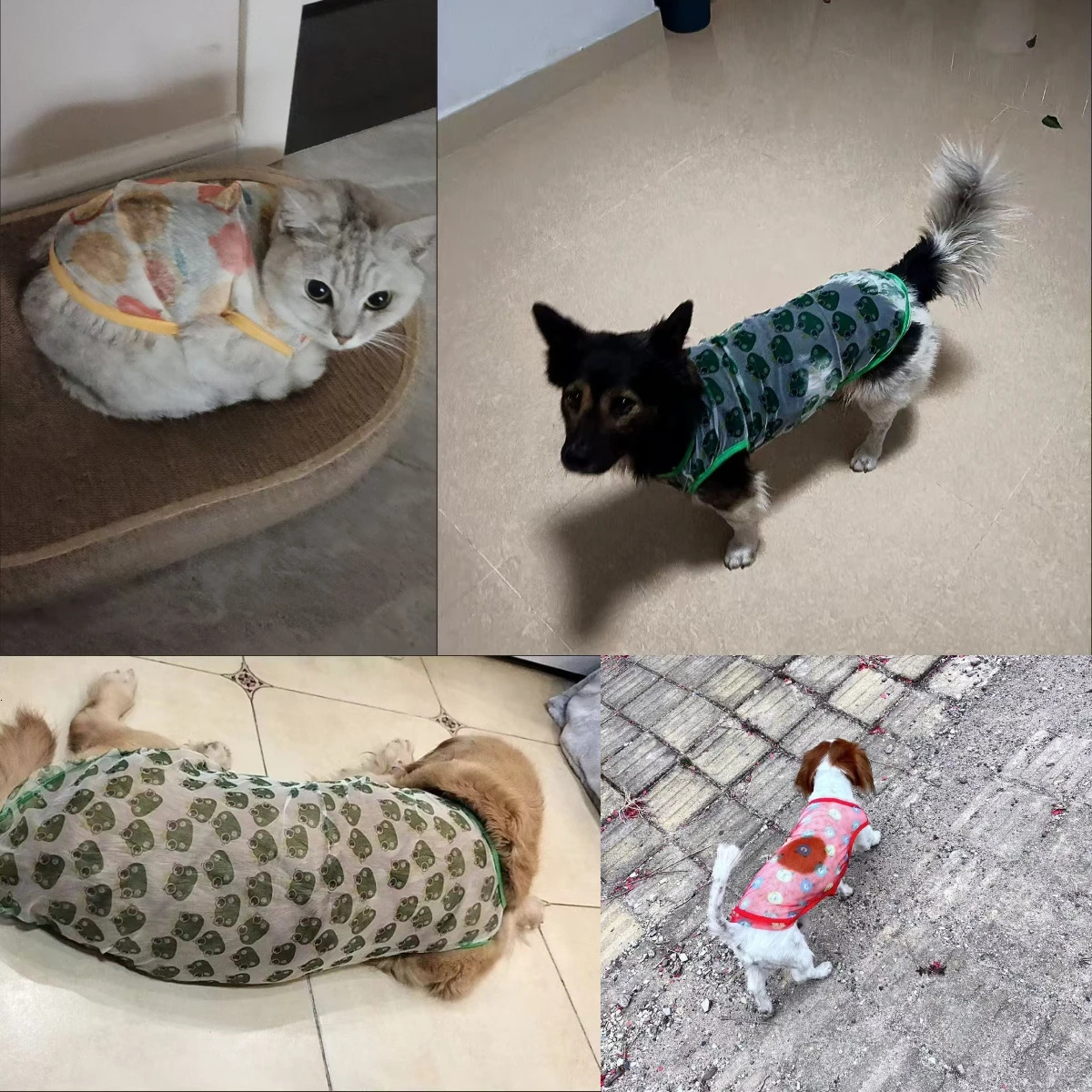 Summer Pet Dog Mesh Vest Cooling Thin Clothes for Small Medium Large Dogs Puppy Cat Chihuahua Supplies 250729