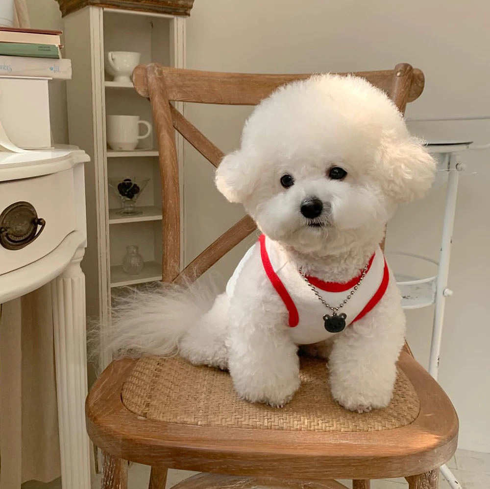 Comfortable White Dog Shirt Embroidery Teddy Pet Cat Puppy TShirt Vest Small Summer Clothes 250729