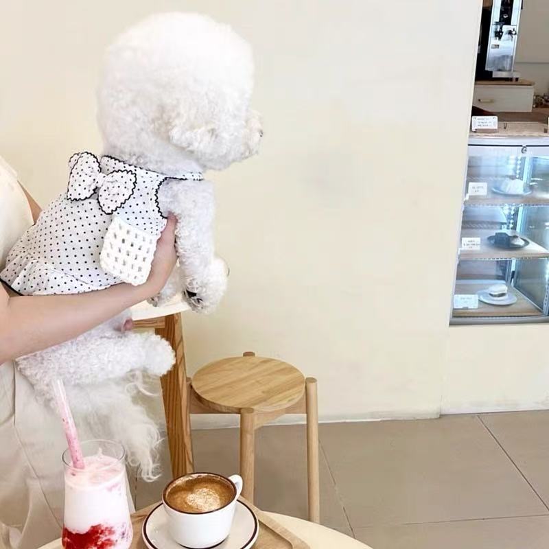 T840 Summer thin pet skirt Teddy cat cat Bichon poodle Yorkshire terrier Pomeranian puppy clothes summer