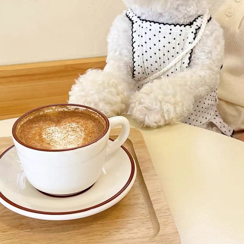 T840 Summer thin pet skirt Teddy cat cat Bichon poodle Yorkshire terrier Pomeranian puppy clothes summer