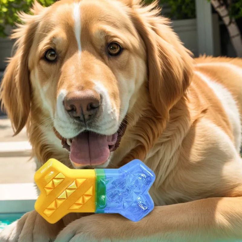 Summer Cooling Dog Toys Pet Toy Molar Bone Filled with Water Frozen BiteResistant Supplies 250729