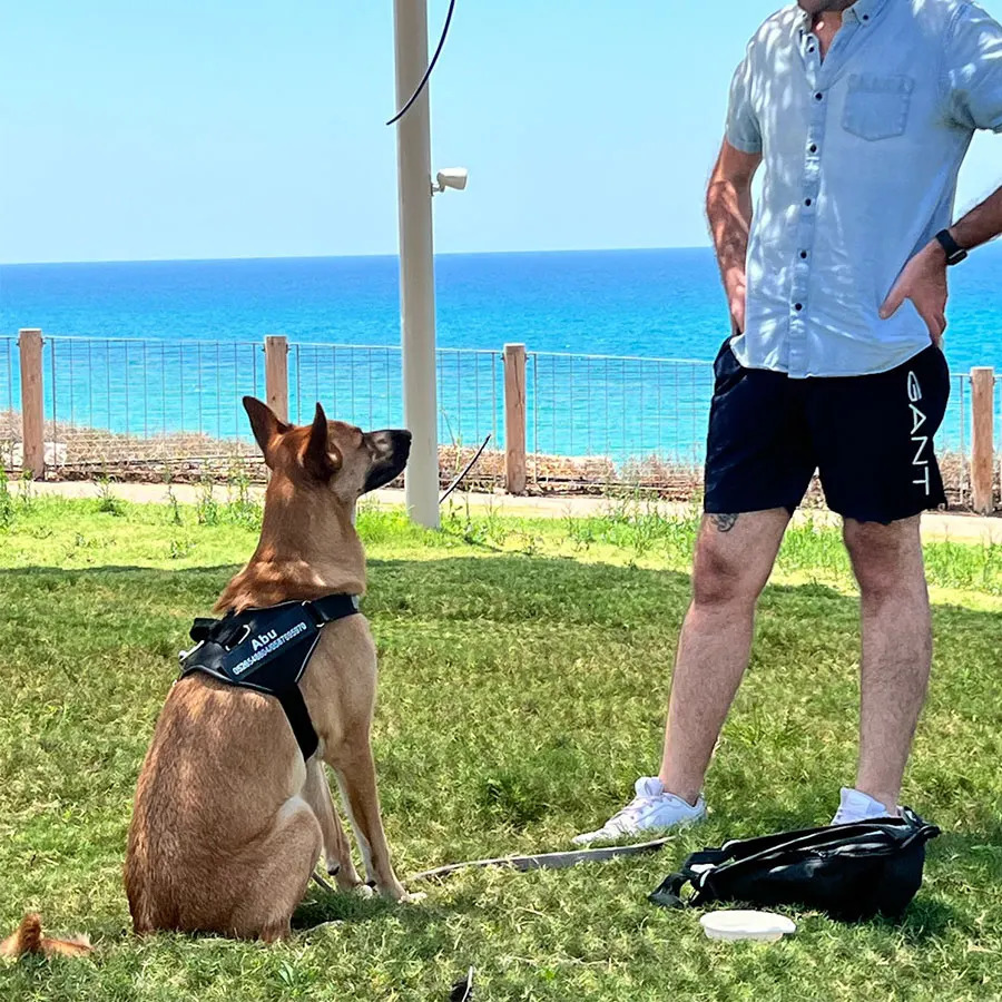 Dog Harness Vest ID Patch Customized Reflective Breathable Adjustable Pet for Dogs No Pull Outdoor Harness 250729