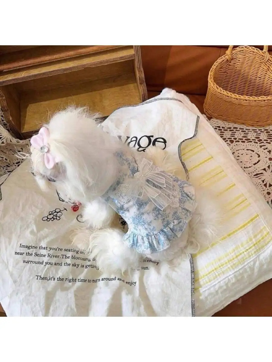 Pet Clothes for Dogs and Cats Summer Thin Suspender Skirt Bow Lace Princess Teddy Bichon 250729