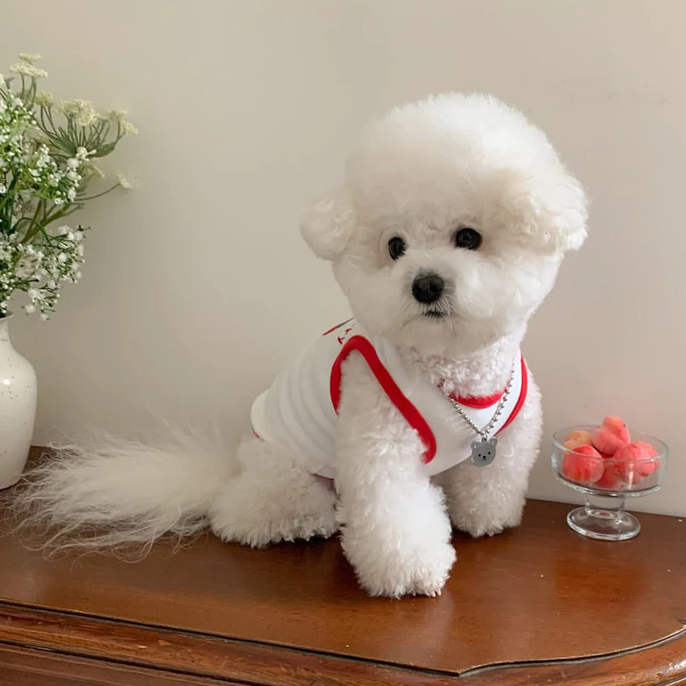 Comfortable White Dog Shirt Embroidery Teddy Pet Cat Puppy TShirt Vest Small Summer Clothes 250729