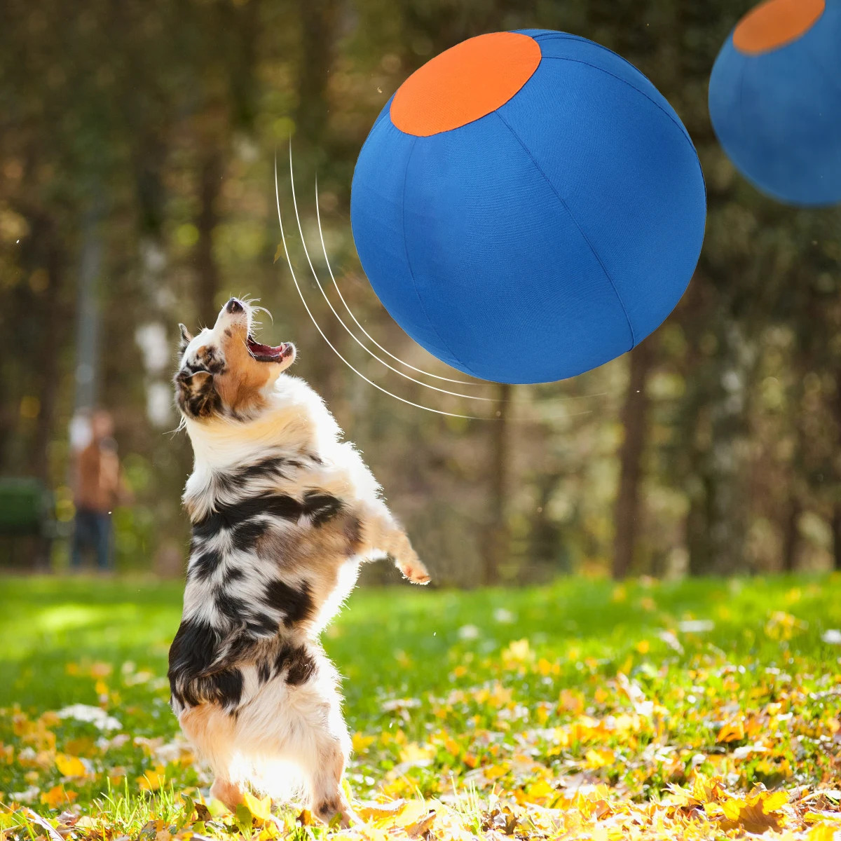 Outdoor Dog Toy Inflatable Big Ball Interactive Games Balls Pet Golden Relieve Fretful Boredom Country Corgi Training Ball 250729