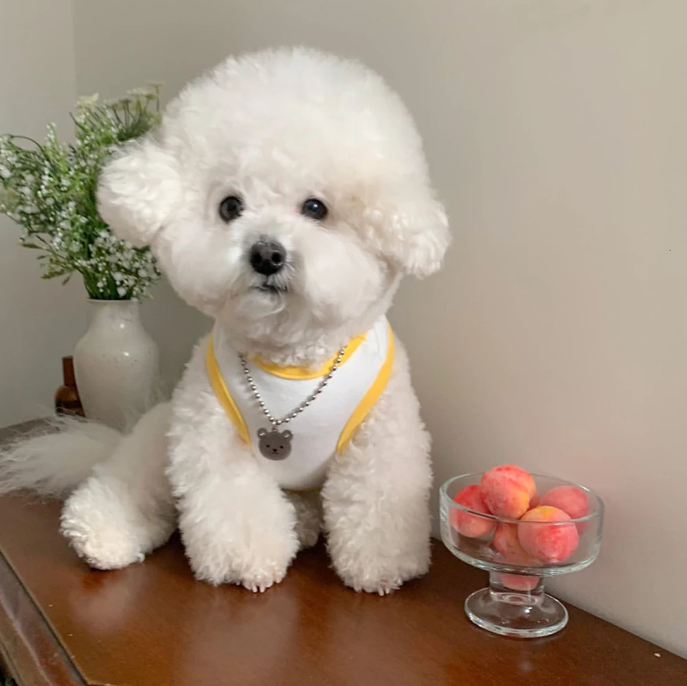 Comfortable White Dog Shirt Embroidery Teddy Pet Cat Puppy TShirt Vest Small Summer Clothes 250729