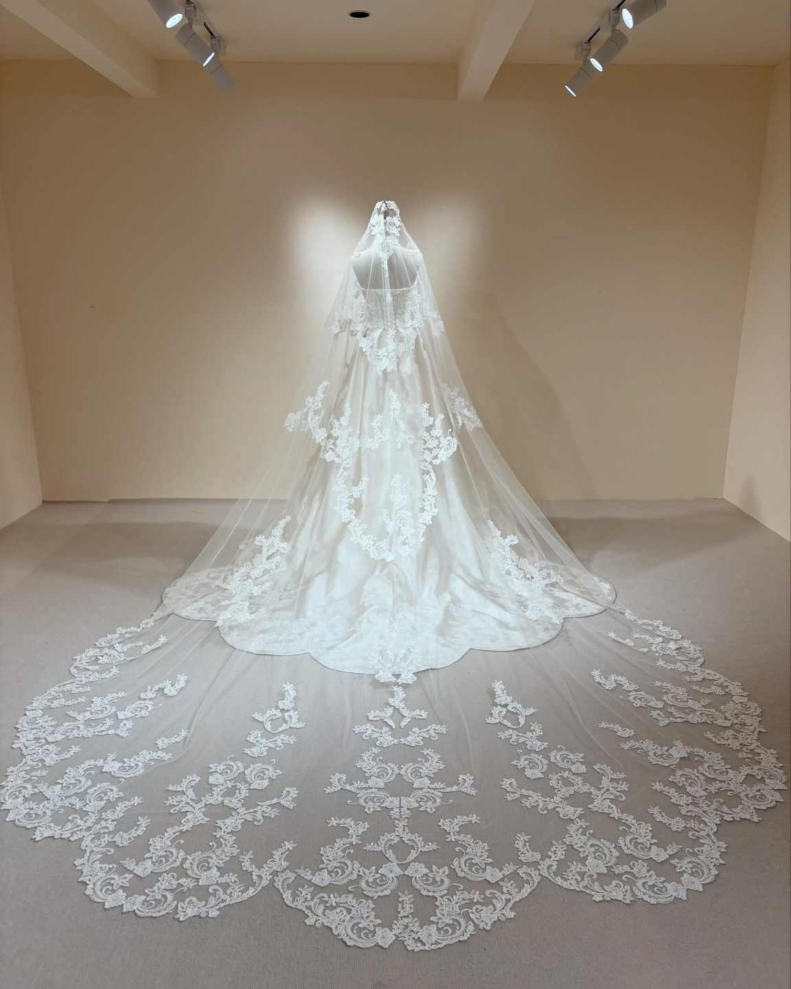 White Ivory 3m Cathedral Wedding Veil With Comb Appliqued Lace Edge One Layer Bridal Veils Wedding Accessorie