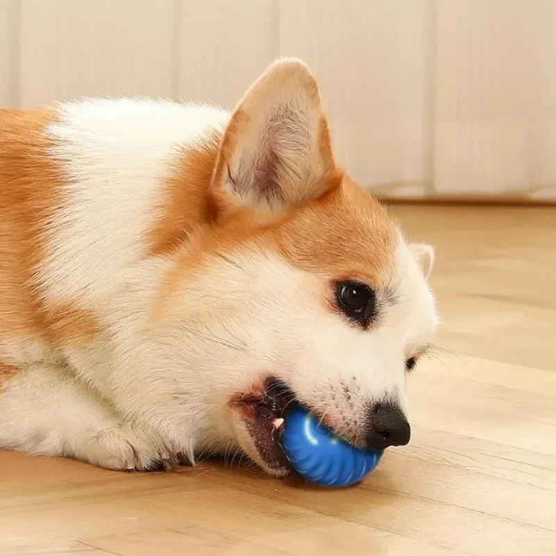 Pet Toy Ball Automatic Moving Dog Smart USB Jumping Rotating Interactive Chew for Puppy 250729
