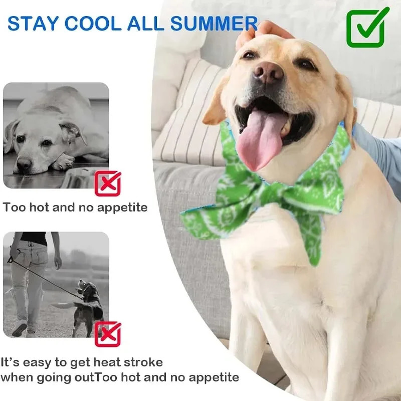 Pet Cooling Scarf Ice Collar for Cats and Dogs Summer Heat Relief Outdoor Travel Accessory with Breathable Cartoon n 250729