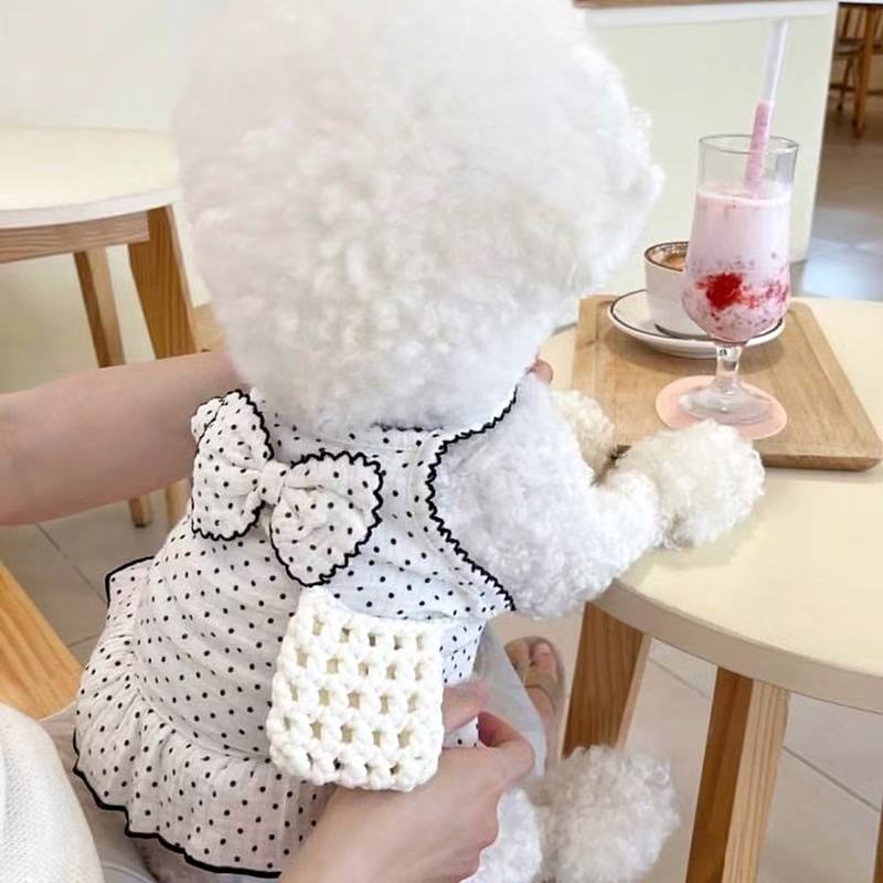 T840 Summer thin pet skirt Teddy cat cat Bichon poodle Yorkshire terrier Pomeranian puppy clothes summer