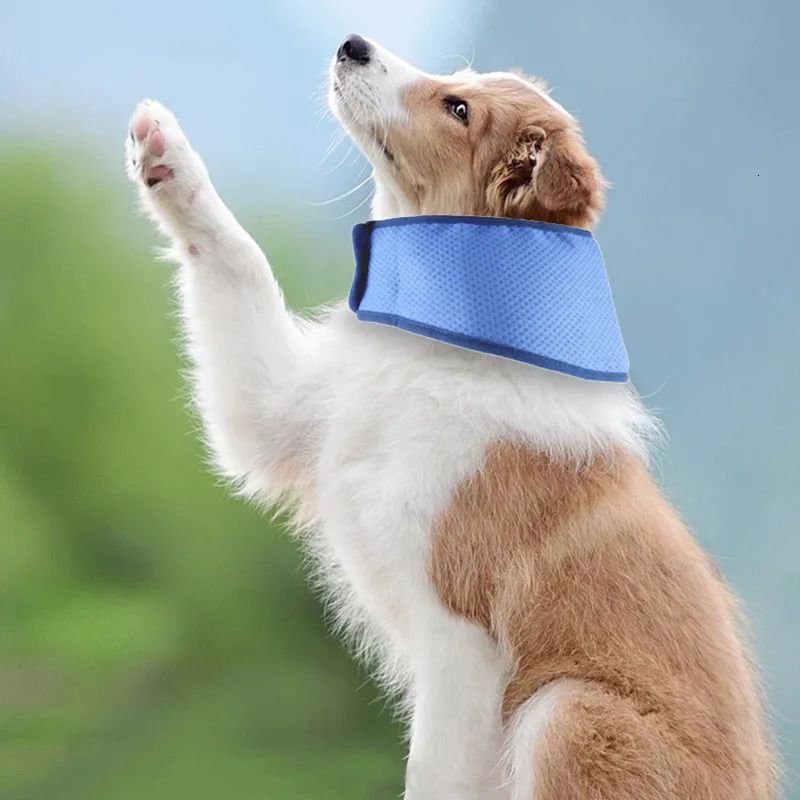 Summer Dog Cooling Scarf Adjustable Pet Bandana for Small Medium Dogs Breathable Puppy Ice Collar Accessories 250729