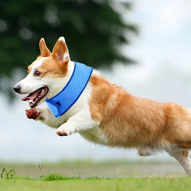 1pc Pet Summer Cooling Scarf Cool Collar Suitable for All Breeds in 3 Sizes Adjustable Fit Essential Outdoor Activities 250729