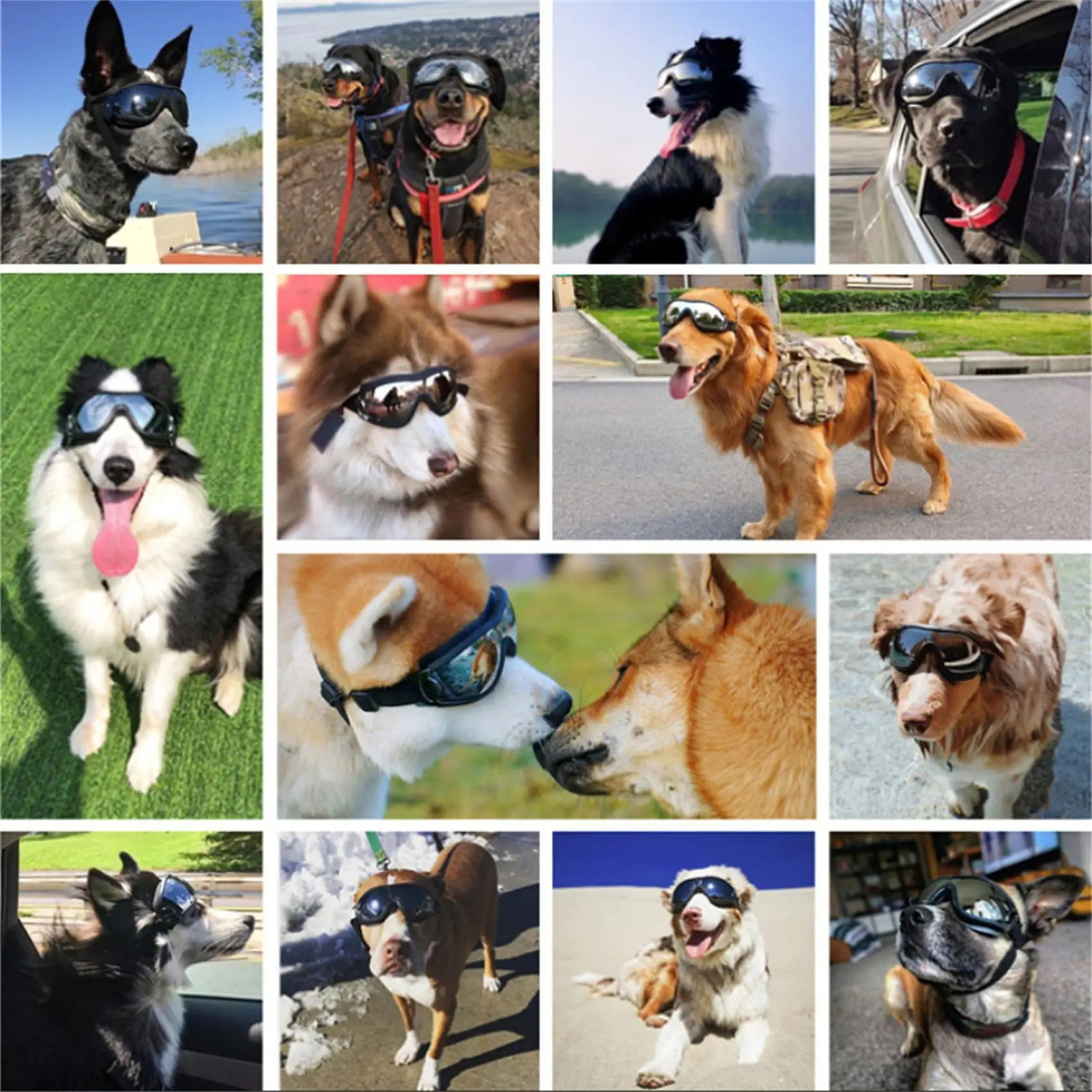 Transparent Color Pet Dog Goggles Waterproof Windproof UV Resistant Large Glasses 250729