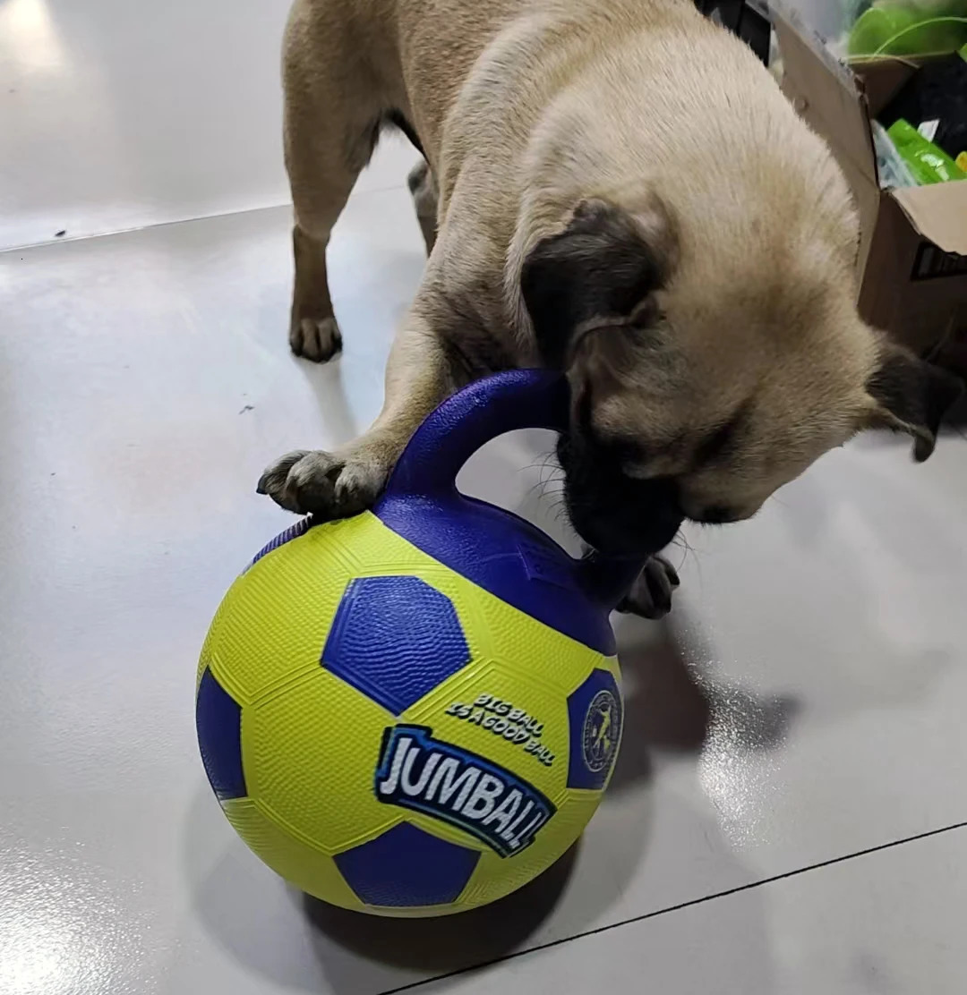 Pet Dog Toy Ball BiteResistant Basketball Rubber Handle Indestructible Large and Small Training Interactive Game Toy 250729