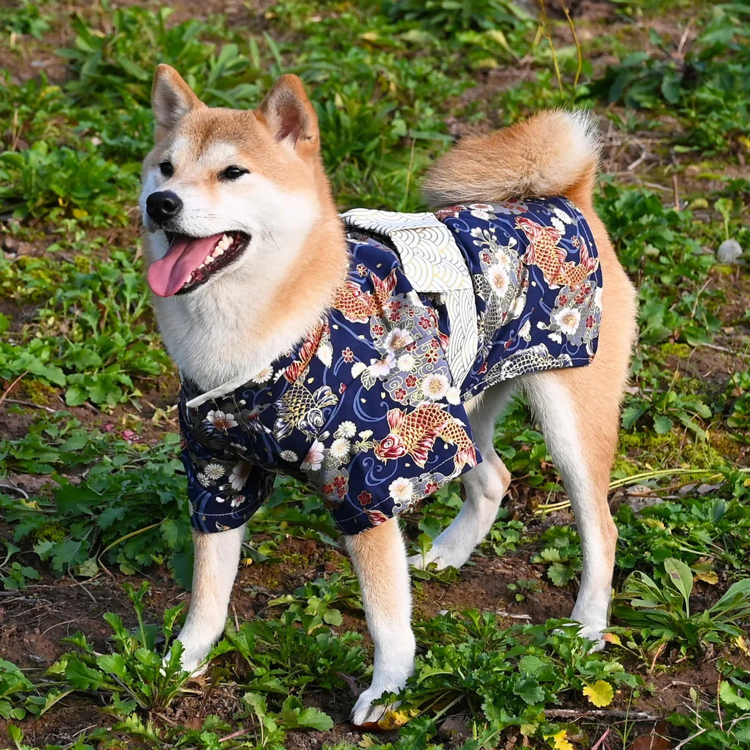 Japanese Style Pure Cotton Pet Kimono Small and Medium Dog Clothes Corgi Shiba Inu Puppy Costume Cat Dogs Accessories 250729
