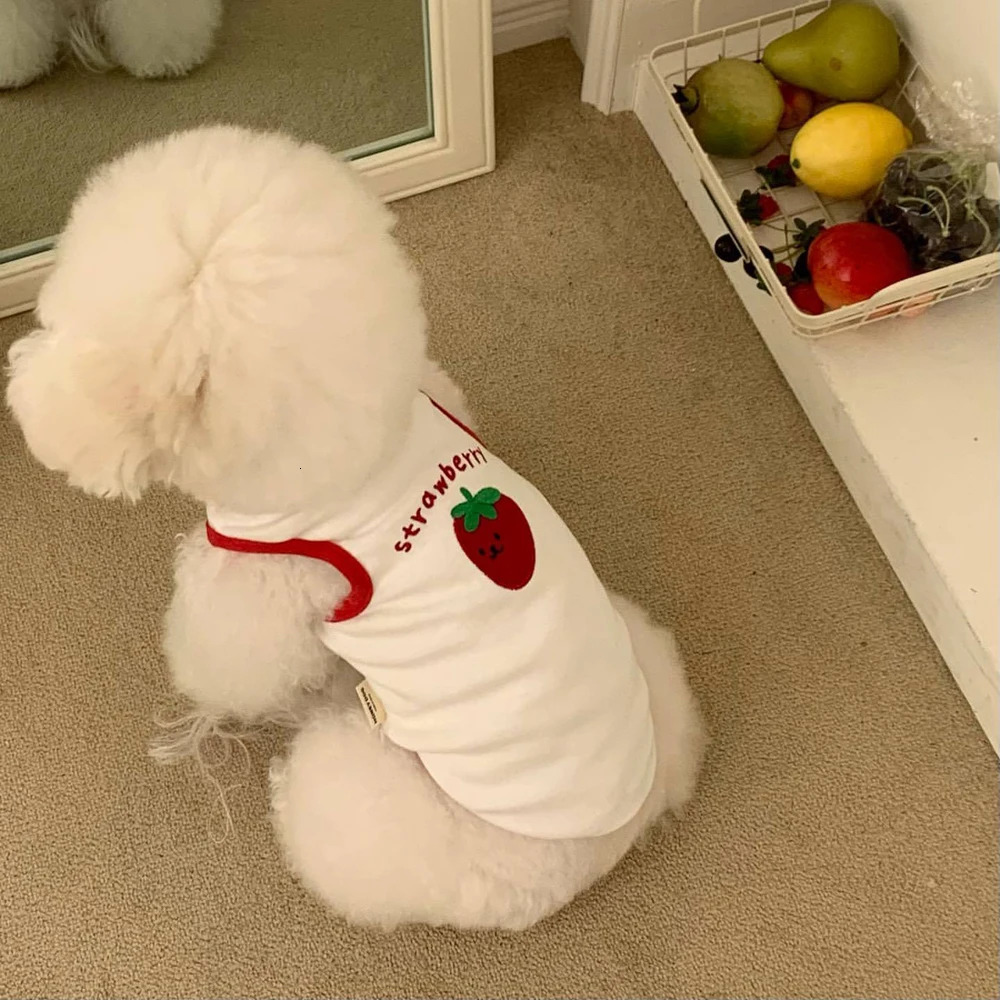 Comfortable White Dog Shirt Embroidery Teddy Pet Cat Puppy TShirt Vest Small Summer Clothes 250729