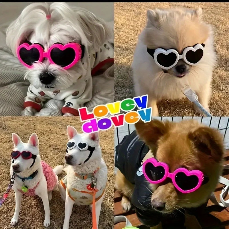 1pc Pet Glasses Dog Supplies Goggles Sun Protection UV Sunglasses Cat Sunglasses 250729