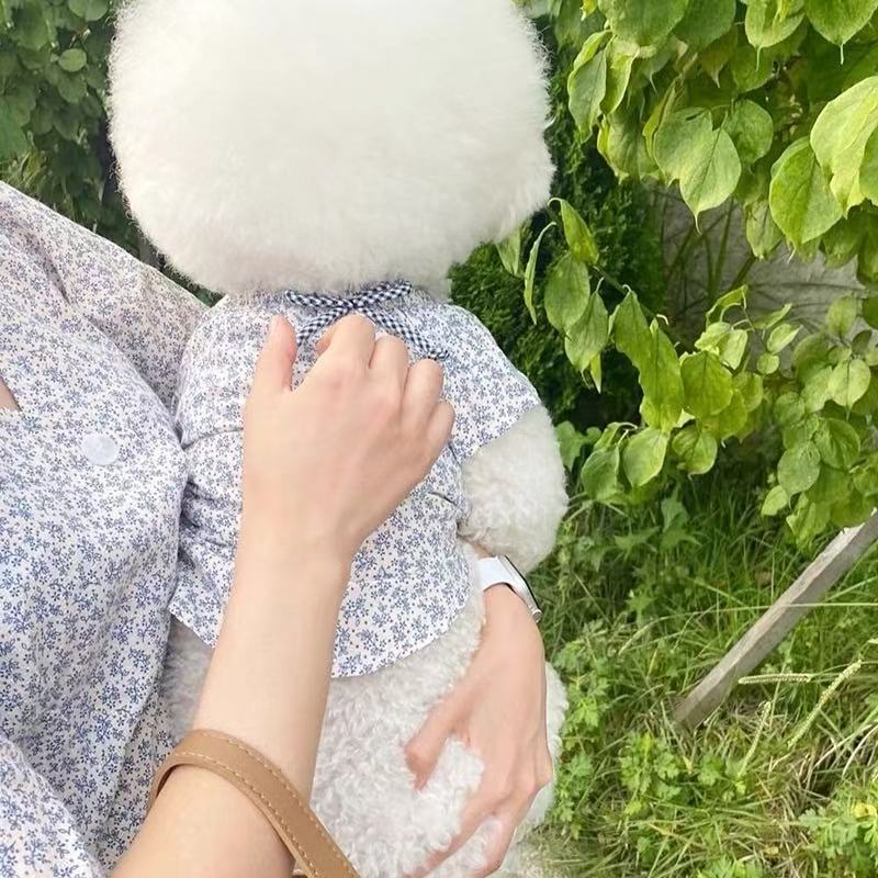 T841 Summer thin pet Pomeranian Teddy Schnauzer Yorkshire Poodle cat small puppy dog clothes