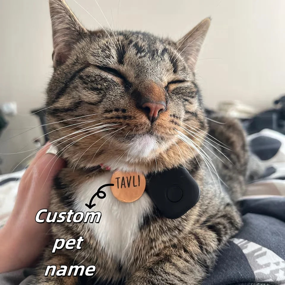 Personalized Custom Stainless Steel Metal Round Dog Tag Kitten Puppy Pet Identity Card Can Be Engraved To Prevent Loss Fashion 250729