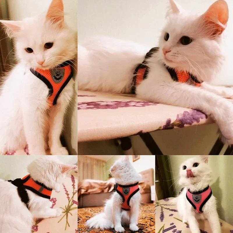 Summer Cat Dog Harness Lead Leash Adjustable Vest Polyester Mesh Breathable Reflective Harnesses for Small Dogs Cats 250729