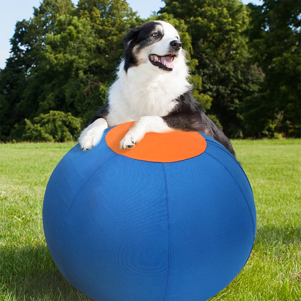 Outdoor Dog Toy Inflatable Big Ball Interactive Games Balls Pet Golden Relieve Fretful Boredom Country Corgi Training Ball 250729