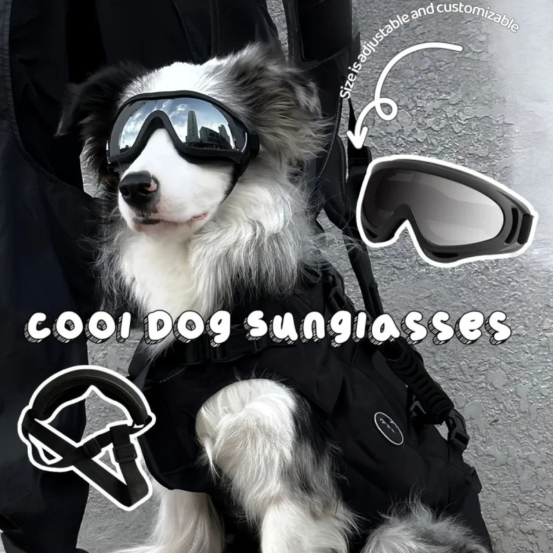 Professional UVproof sunglasses for dogs a musthave pet outdoor travel wind and dust goggles in colorful silver 250729