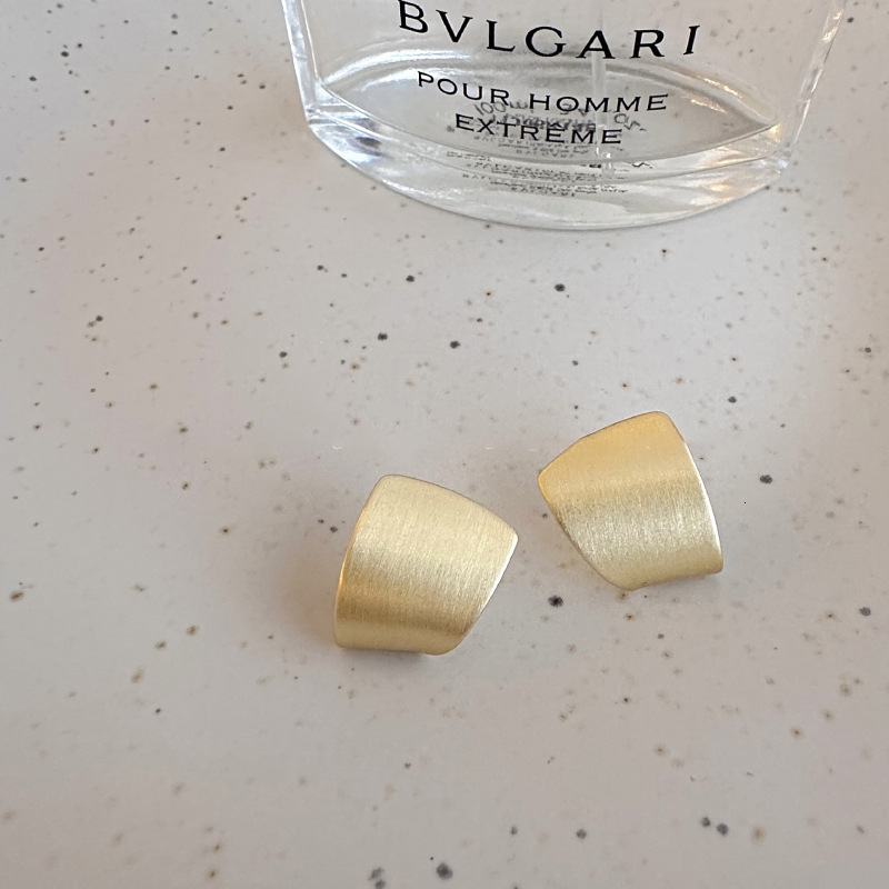 Sier Needle Brushed Geometric Metallic Feel Fashion Simple Earrings Design Sense Niche Women