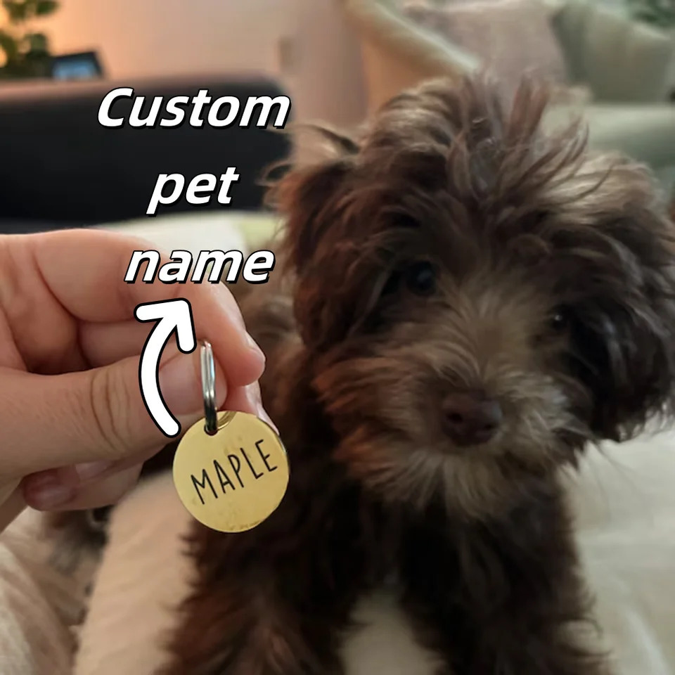 Personalized Custom Stainless Steel Metal Round Dog Tag Kitten Puppy Pet Identity Card Can Be Engraved To Prevent Loss Fashion 250729