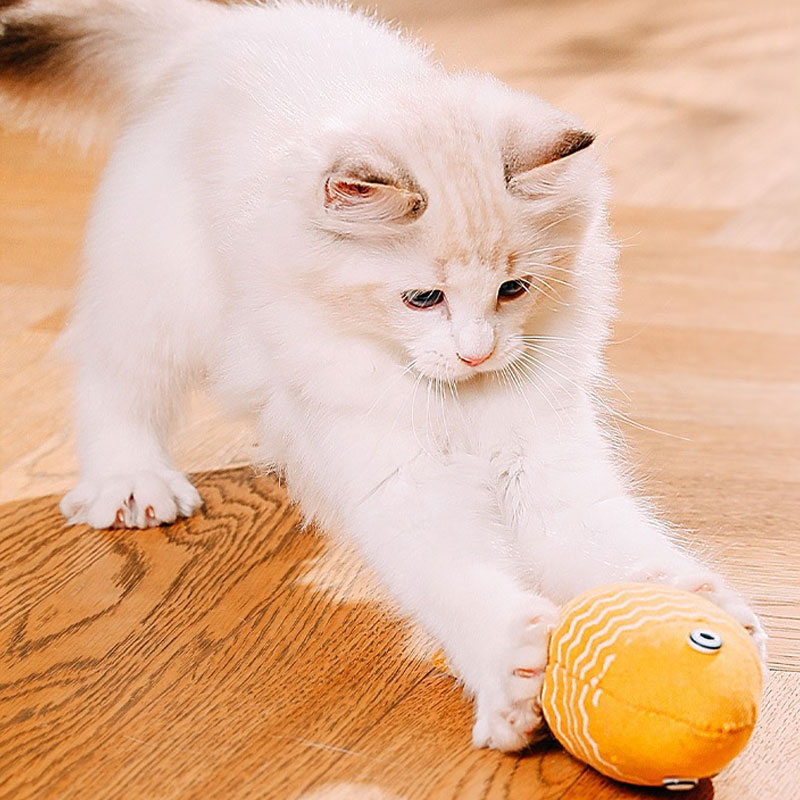 Catnip Toys Cat mint imitation fish, Catnip Stuffed Plush Fish Toy, cat teaser stick, baby cat chew toy.