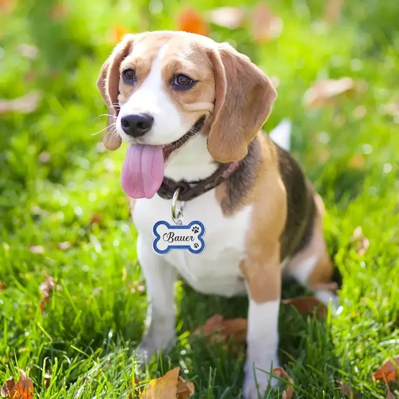 Custom Double Side Dog Cat ID Tag Glitter Dogs Cats Name Pendant Tags Pet Collar Accessories Anti-lost Bone Tags for Dog Cat 250729