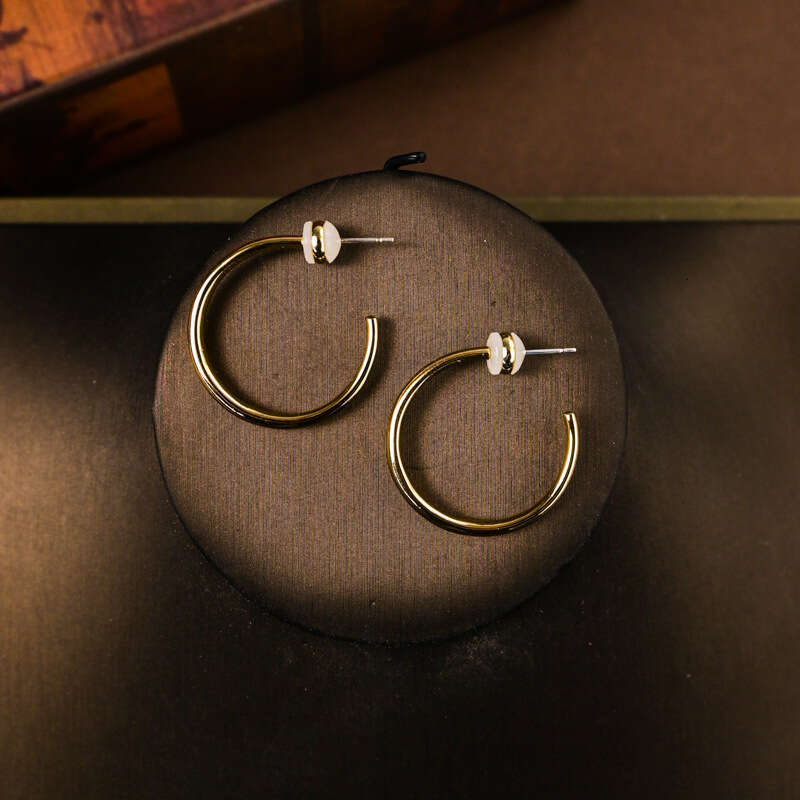 Earrings Hoop Niche Design High-end Ear Jewelry Simple Circle Personality Autumn Winter Women Fashion Versatile New Style