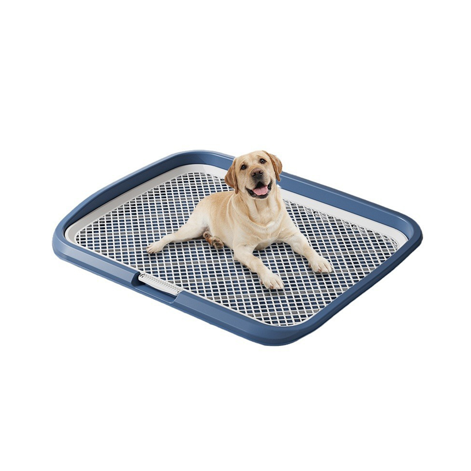 Dog toilet oversized small medium large dog flat high fence splash proof dog urinal delivery column manufacturer wholesale