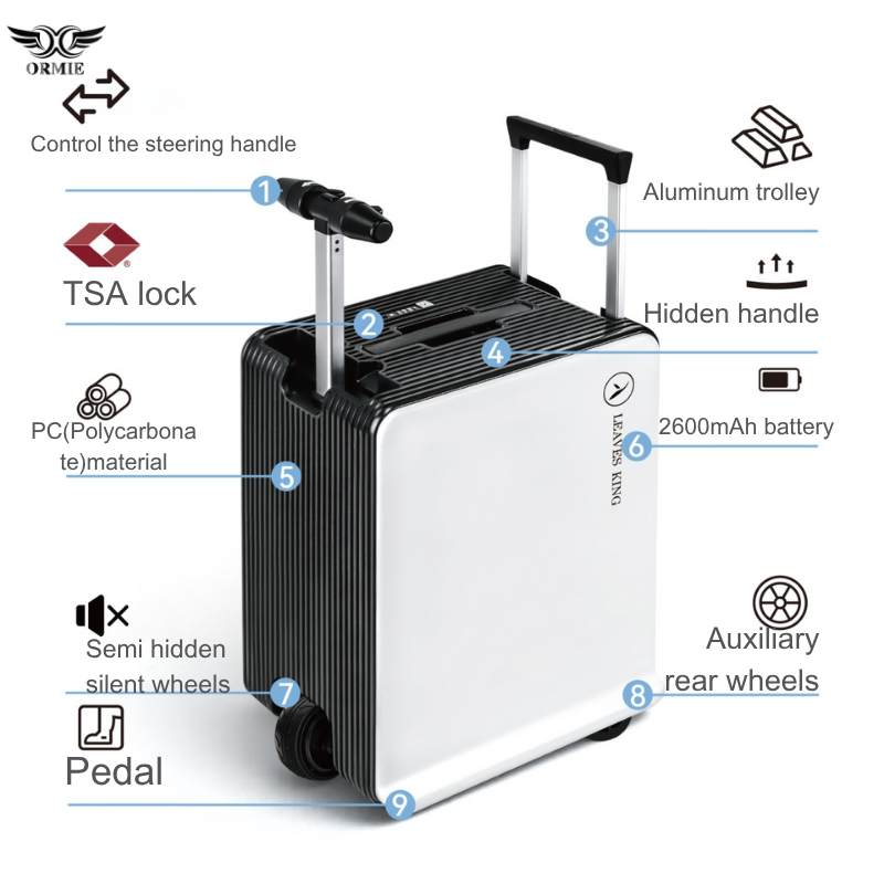 Dual-Purpose Lightweight Electric Bike Suitcase Perfect For Kids And Adult Cyclists