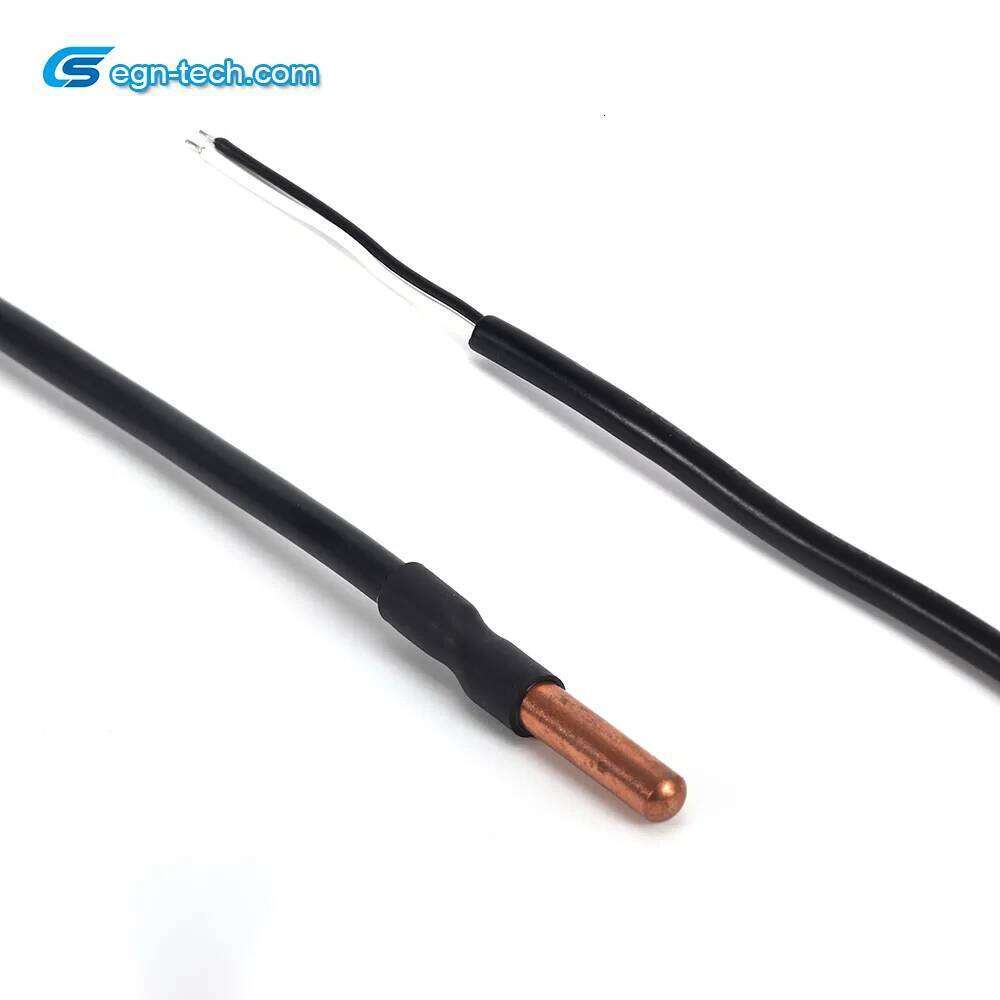 NTC Temperature Sensor Manufacturer Ntc Sensor for Water Heater Temperature Detection EG-N023