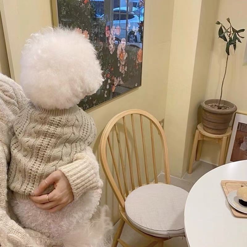 T853 New autumn and winter dog sweater Teddy Bichon Pomeranian Yorkshire Terrier small dog pet cat clothes winter warm