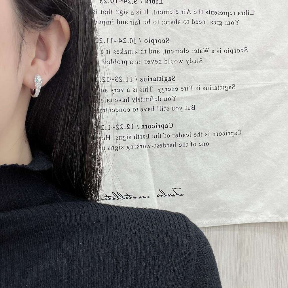 INS Dia-Studded Snake-Shaped Earrings for Women, Light Niche Design, High-End Hoop Earrings, Unique Cold Style Ear Jewelry 0d7