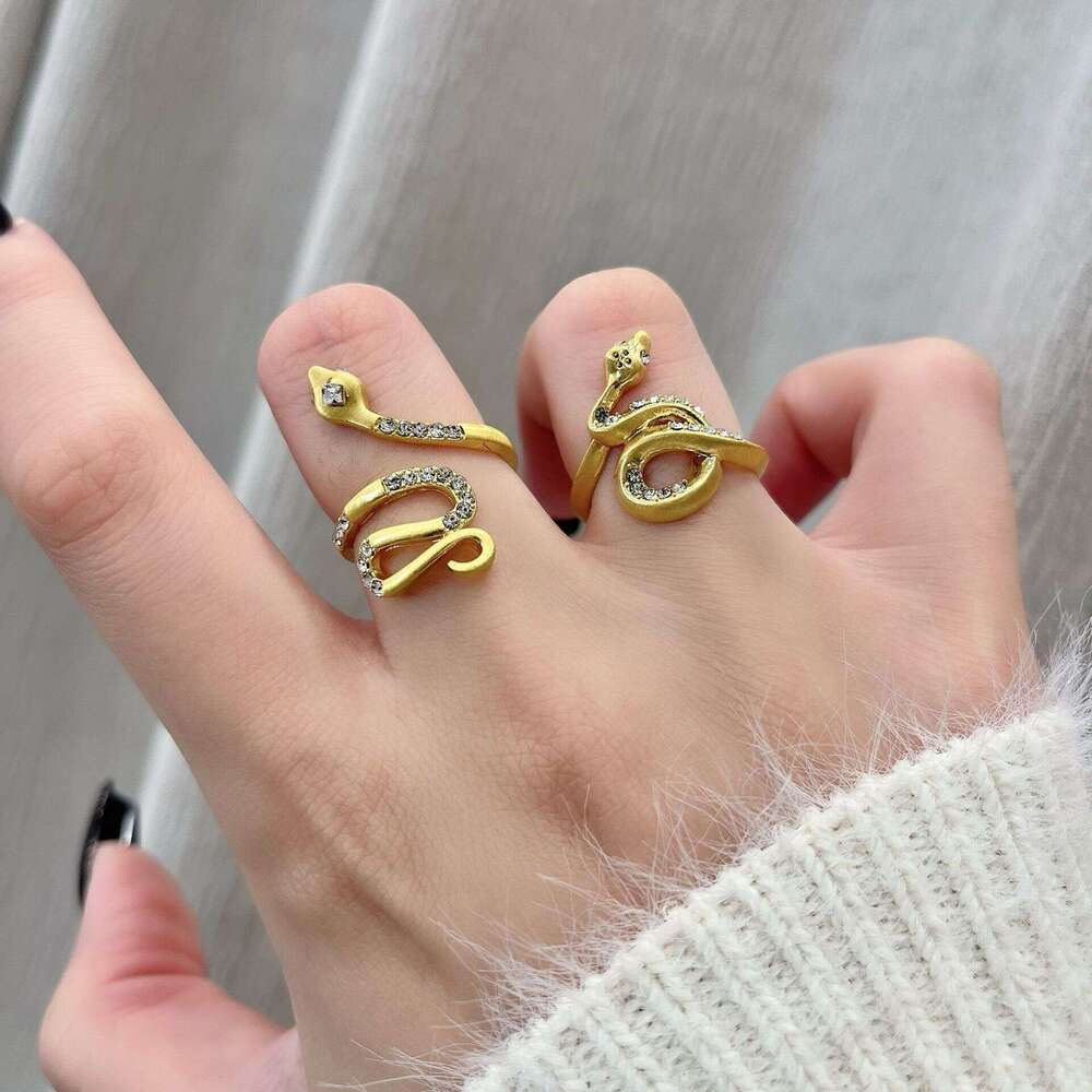 2024 New Brushed Wrapped Snake Minimalist Unique Personality Punk Vintage Niche Design Index Finger Ring 159